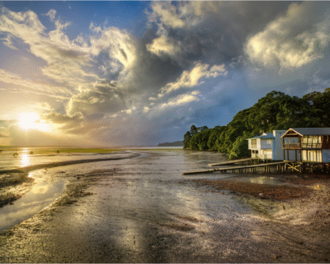 Neritic - A white and brown wooden coastal house sits beside the seashore at sunrise, glowing with warm early light as waves gently meet the shoreline.