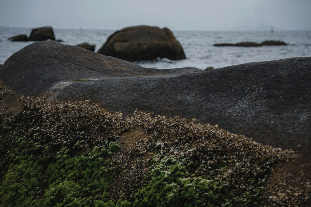 Sunlit shoreline on a beach day, where photography and water capture shifting waves and sand textures.
