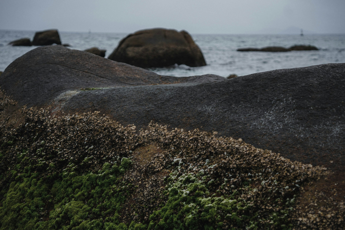 Sunlit shoreline on a beach day, where photography and water capture shifting waves and sand textures.