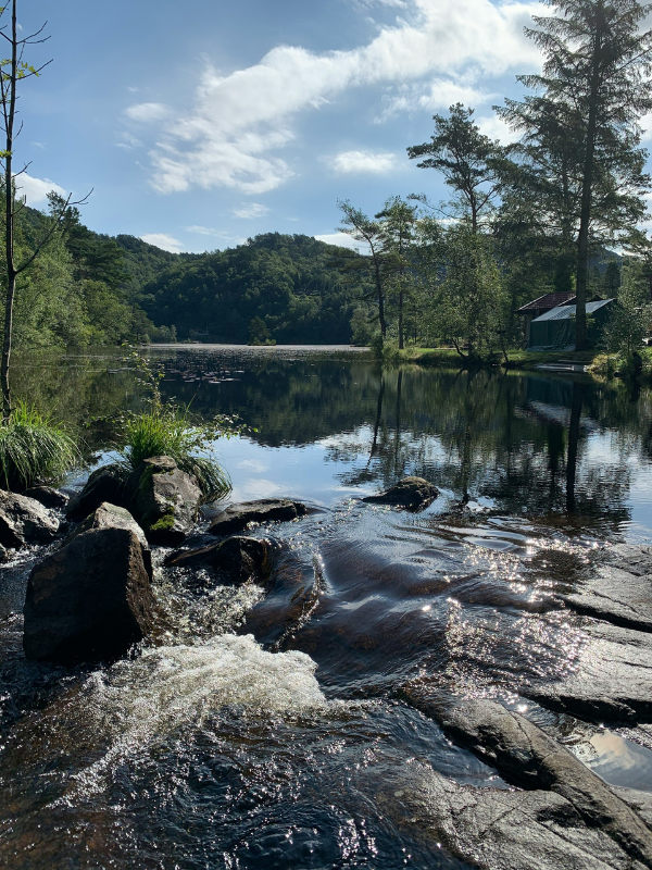 Water’s Quiet Presence — Flowing Over Stones