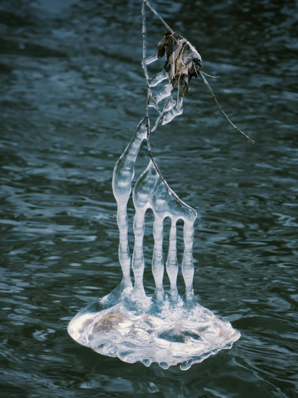 A piece of ice floating on top of a body of water - Contemporary Art