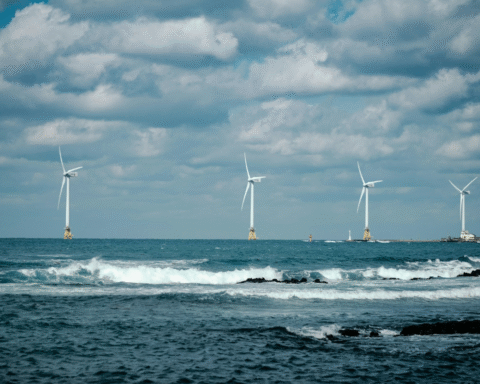 Sailboat on open sea with offshore wind turbines illustrating ocean energy and renewable coastal infrastructure