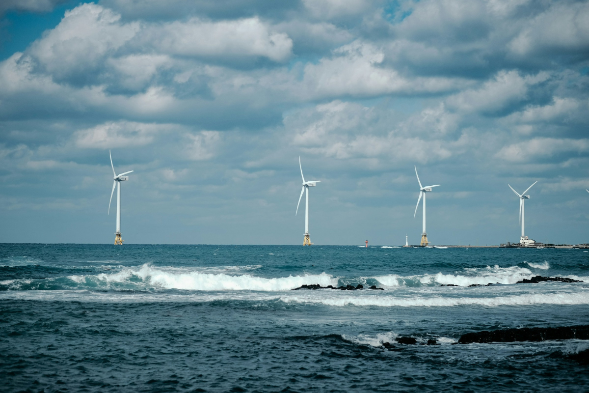Sailboat on open sea with offshore wind turbines illustrating ocean energy and renewable coastal infrastructure