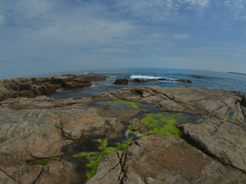 Rocky coastline with tide pools and ocean waves illustrating natural ocean energy along the shoreline