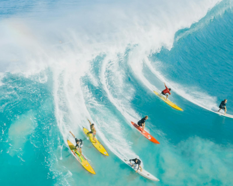 People Surfing on the Beach | Surf Culture
