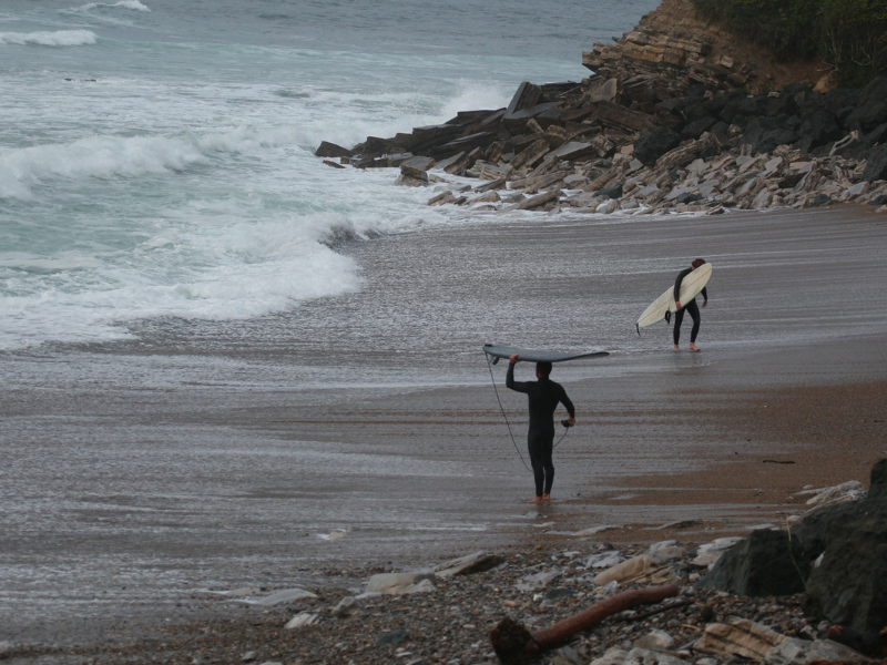 2 Persons Holding Surfboards and Walking Along the Shoreline | Surf Culture