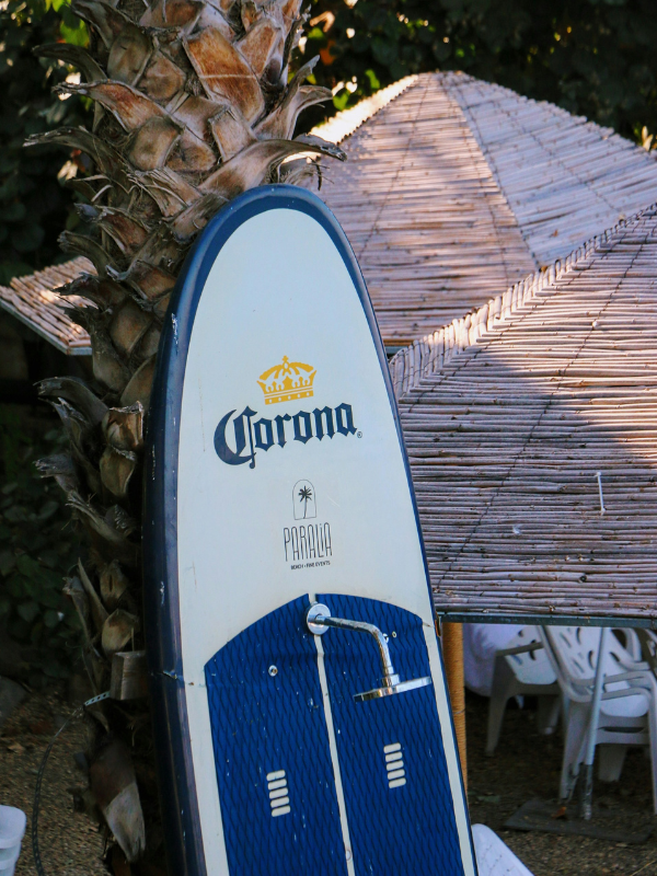 White and Blue Surfboard Sitting Next to a Palm Tree | Surf Culture