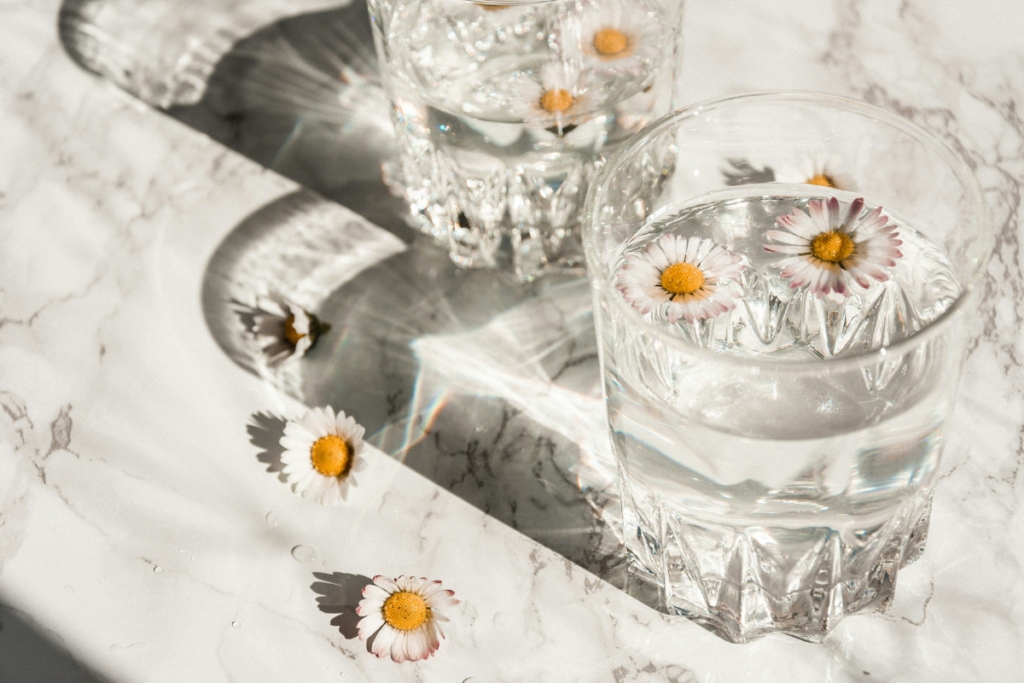 white daisy in a clear glass cup symbolizing spring water vs. purified water clarity and natural purity
