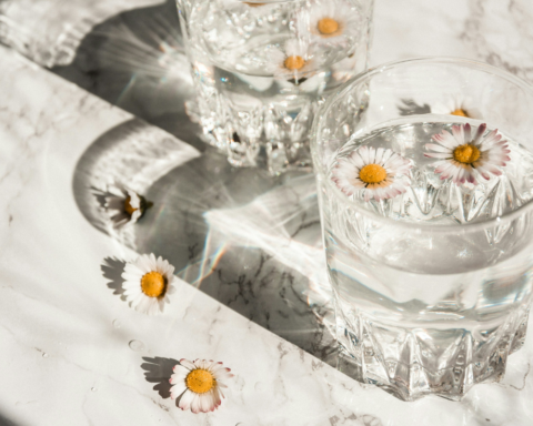 white daisy in a clear glass cup symbolizing spring water vs. purified water clarity and natural purity