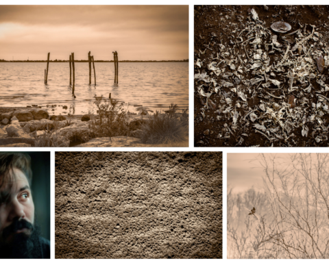 Satori and Jonathan Barberi artwork exploring drought, landscape memory, and ecological fragility through atmospheric photographic compositions.