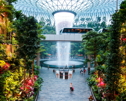 Travelers walk through the lush indoor gardens and Rain Vortex waterfall at Changi International Airport, reflecting how airports are rebranding through water and climate-focused design.