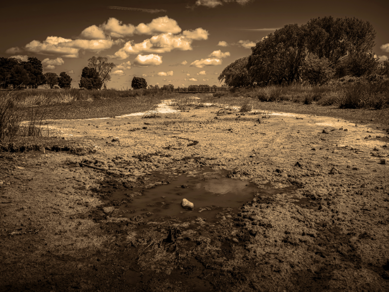 Dry waterways cut through the Pampas landscape in Satori, revealing how environmental instability reshapes both terrain and memory. 