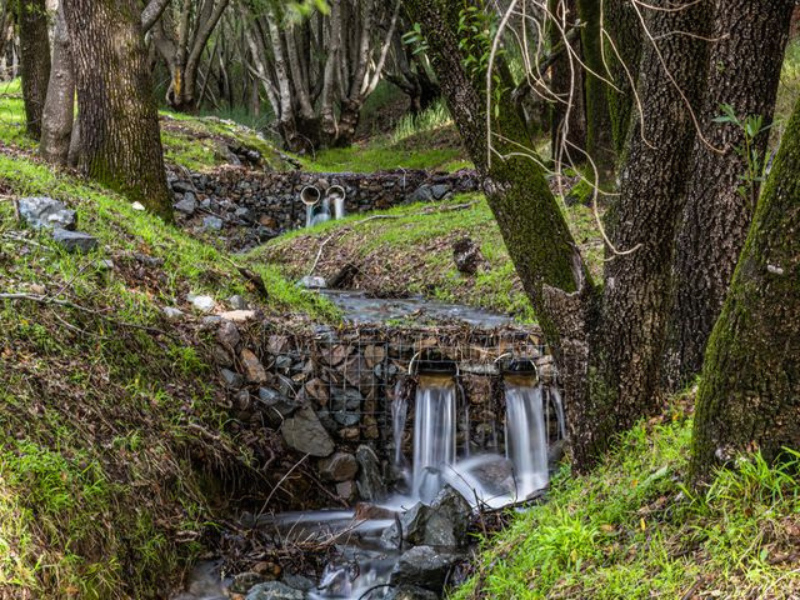 Nature-based drainage systems inspired by wetlands play a key role in sponge cities, slowing stormwater, improving water quality, and restoring natural hydrological processes to create more resilient and sustainable urban environments.