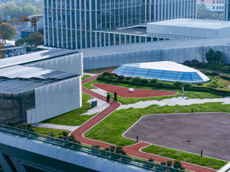 Blue-green roofs are transforming urban skylines by combining nature, water management, and sustainable design to create healthier and more climate-resilient cities.