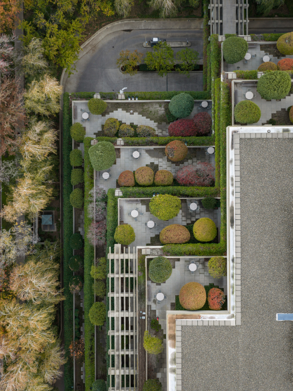 Blue-green roofs bring nature back into the city, creating vibrant rooftop landscapes that improve biodiversity, manage stormwater, and provide inviting green spaces above the urban environment.