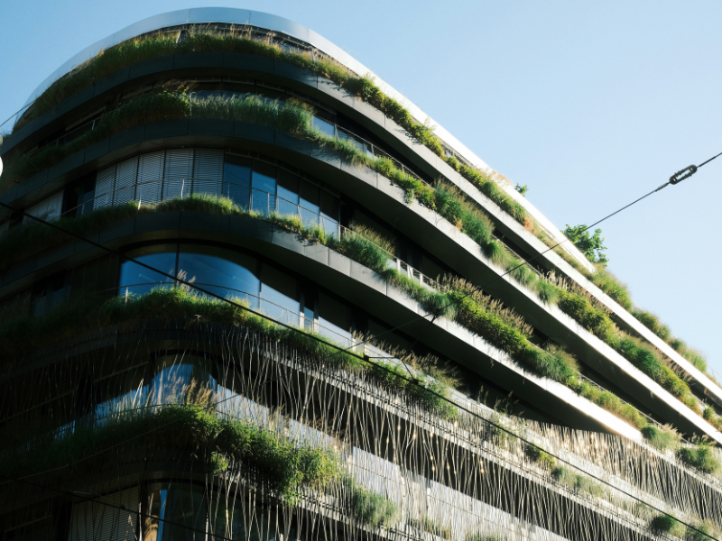 Blue-green roofs extend beyond rooftops to transform building façades, blending lush vegetation with modern architecture to improve biodiversity, reduce urban heat, and create more resilient cities.