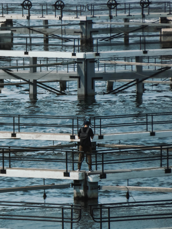 A water reuse treatment facility demonstrates how recycled water systems are helping cities improve water security, reduce waste, and build climate resilience.