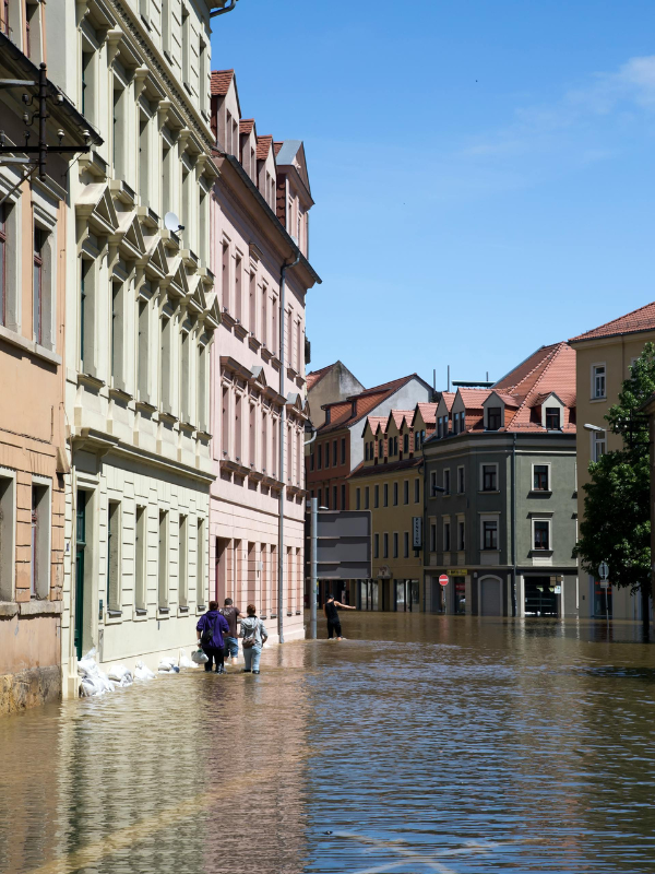 The growing need for sponge cities and restored wetlands is evident as urban flooding impacts streets and communities. Nature-based infrastructure can help absorb excess rainfall, reduce flood risks, and build more resilient cities for the future.