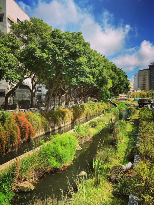 This nature-inspired waterway demonstrates how sponge cities and wetlands can be integrated into urban landscapes, using vegetation and natural drainage to manage stormwater, enhance biodiversity, and build resilience against flooding.