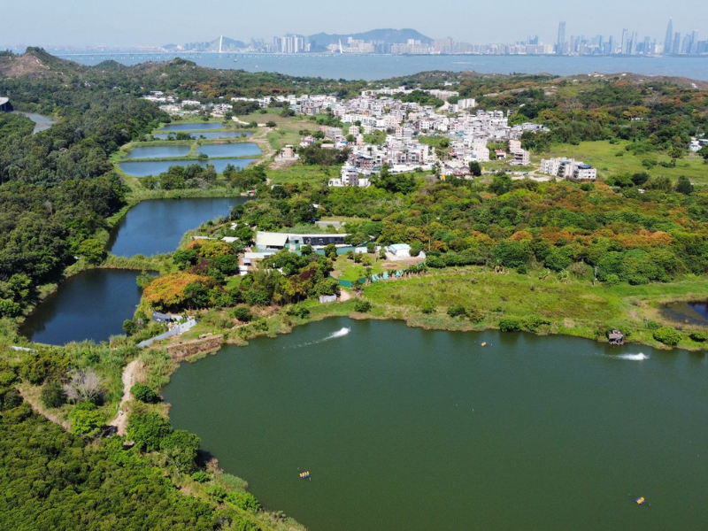 Natural wetlands integrated alongside expanding urban areas showcase the principles of sponge cities, where landscapes are designed to absorb, store, and gradually release stormwater while supporting biodiversity and strengthening climate resilience.