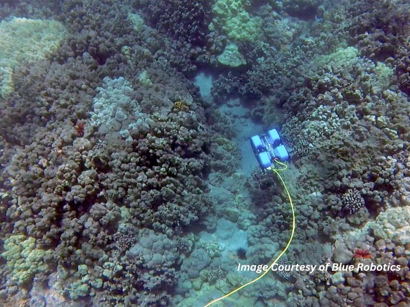 An underwater ocean drone navigates through a coral reef, demonstrating how ocean drones are supporting marine research, reef monitoring, and ocean conservation. Image courtesy of Blue Robotics.