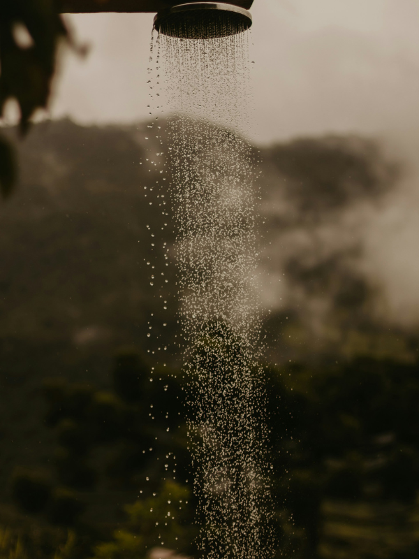 Every day, cold showers are making cold water wellness more accessible, offering a practical alternative to open-water immersion.