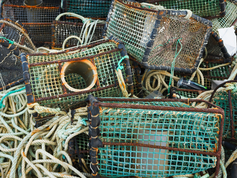 Discarded fishing gear can remain in the ocean for years, making recovery and reuse essential to healthier coastal ecosystems.