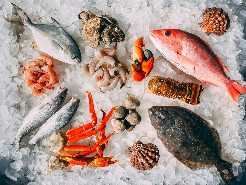 Fresh seafood reflects the connection between water, coast and food, where local waters shape ingredients, flavors and culinary traditions.