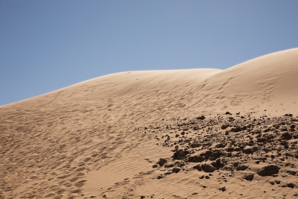 Arid desert landscape surrounding the Sahrawi refugee camps in southwestern Algeria.