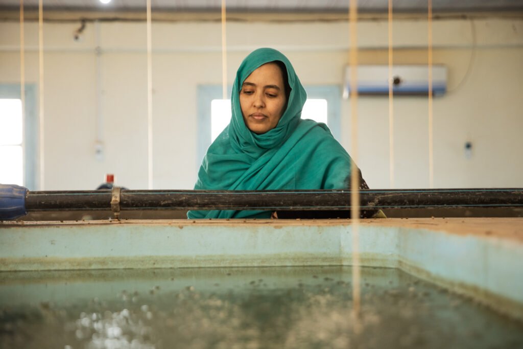 Worker tending an indoor tilapia tank at N’khaila fish farm.
