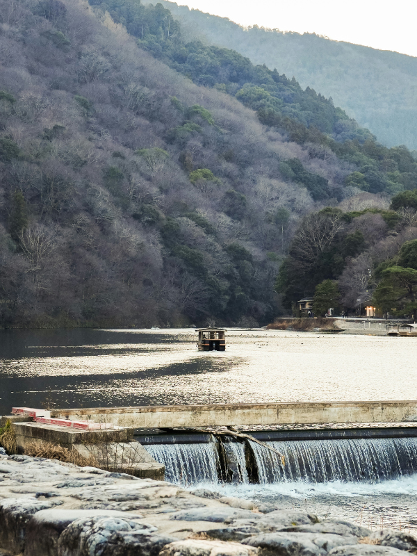 Dams and weirs alter water flow, sediment movement, and river sound, reshaping both the physical and acoustic character of freshwater environments.