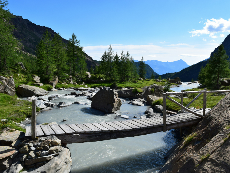 A mountain river winds through rocks and forest, its changing flow creating a natural river soundscape shaped by water, terrain and season.