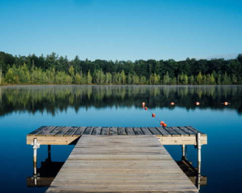 A peaceful lake with clear blue water reflecting surrounding trees, featuring a wooden dock extending towards a designated swimming area.