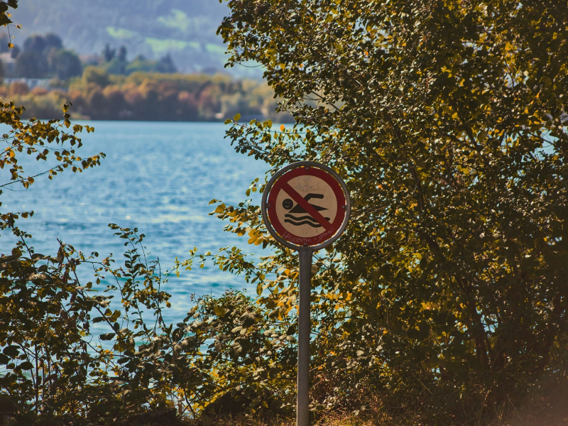 A no-swimming sign beside a scenic lake highlights the importance of water quality monitoring and public safety warnings, particularly where harmful algal blooms may pose health risks.
